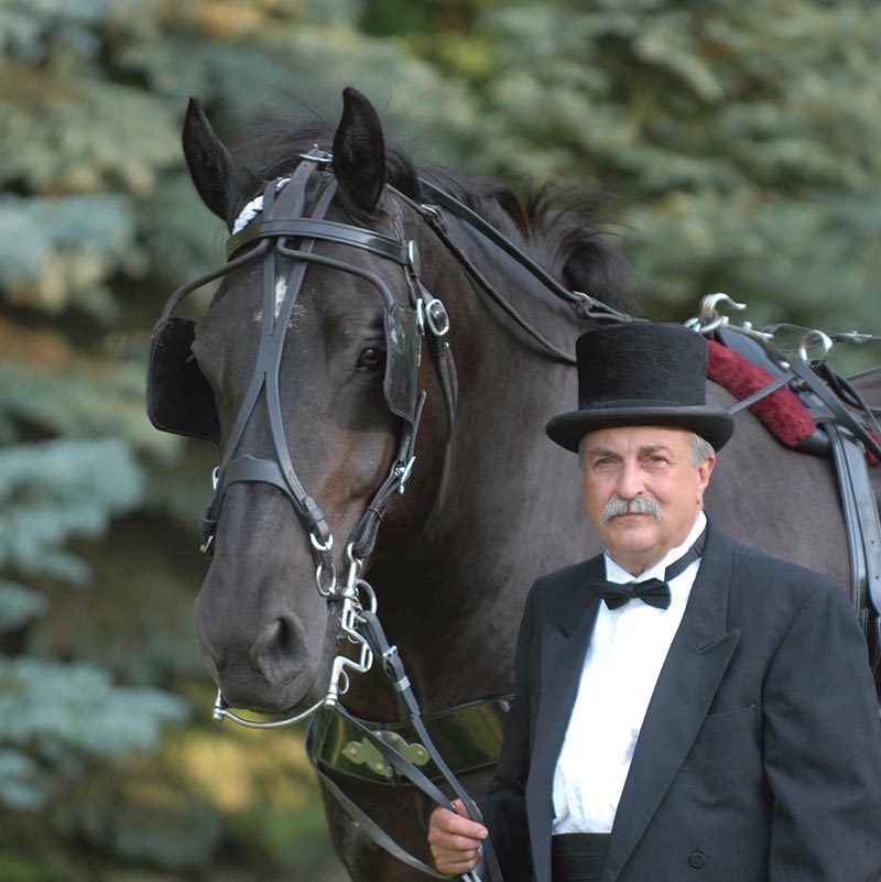 Castle Carriage
