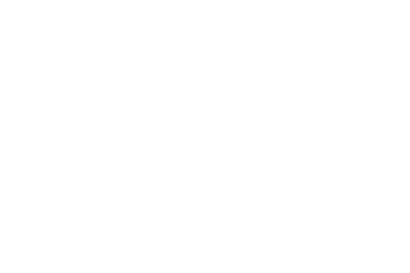 Timeless Photography and Timeless Weddings LLC