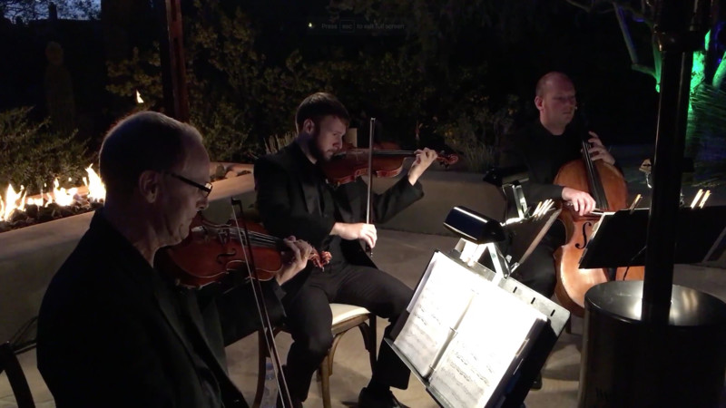Apperson Strings