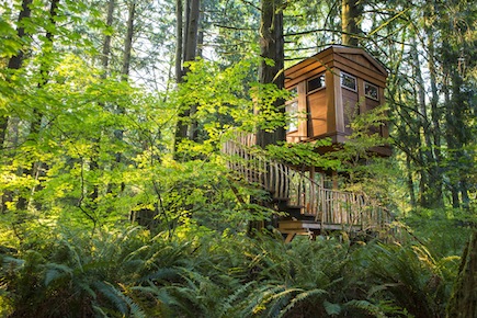 TreeHouse Point
