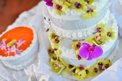 Cakes of Paradise, Inc