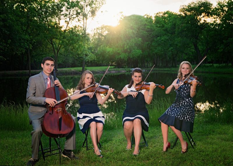 European Ensemble Strings