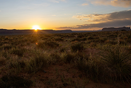 Wild West Wedding L.L.C.