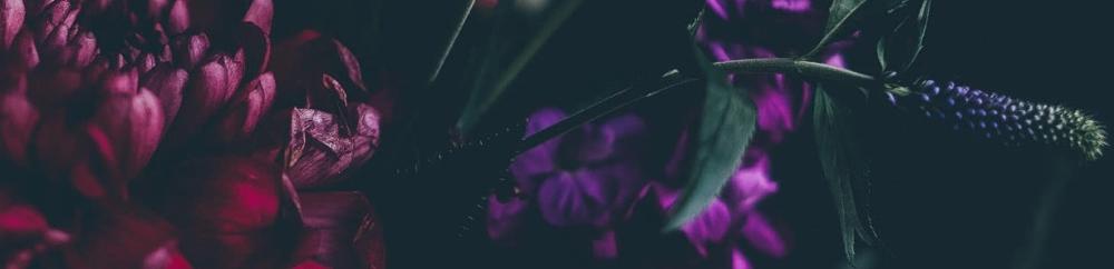 Occasions by EMW